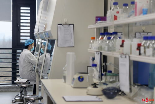 戰(zhàn)疫時刻，生物化工技術(shù)研發(fā)展現(xiàn)成都真實城市精神