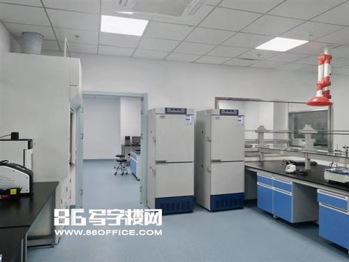 張江藥谷衡谷1976 環(huán)評齊全3000平可分割試驗研發(fā)空間出租